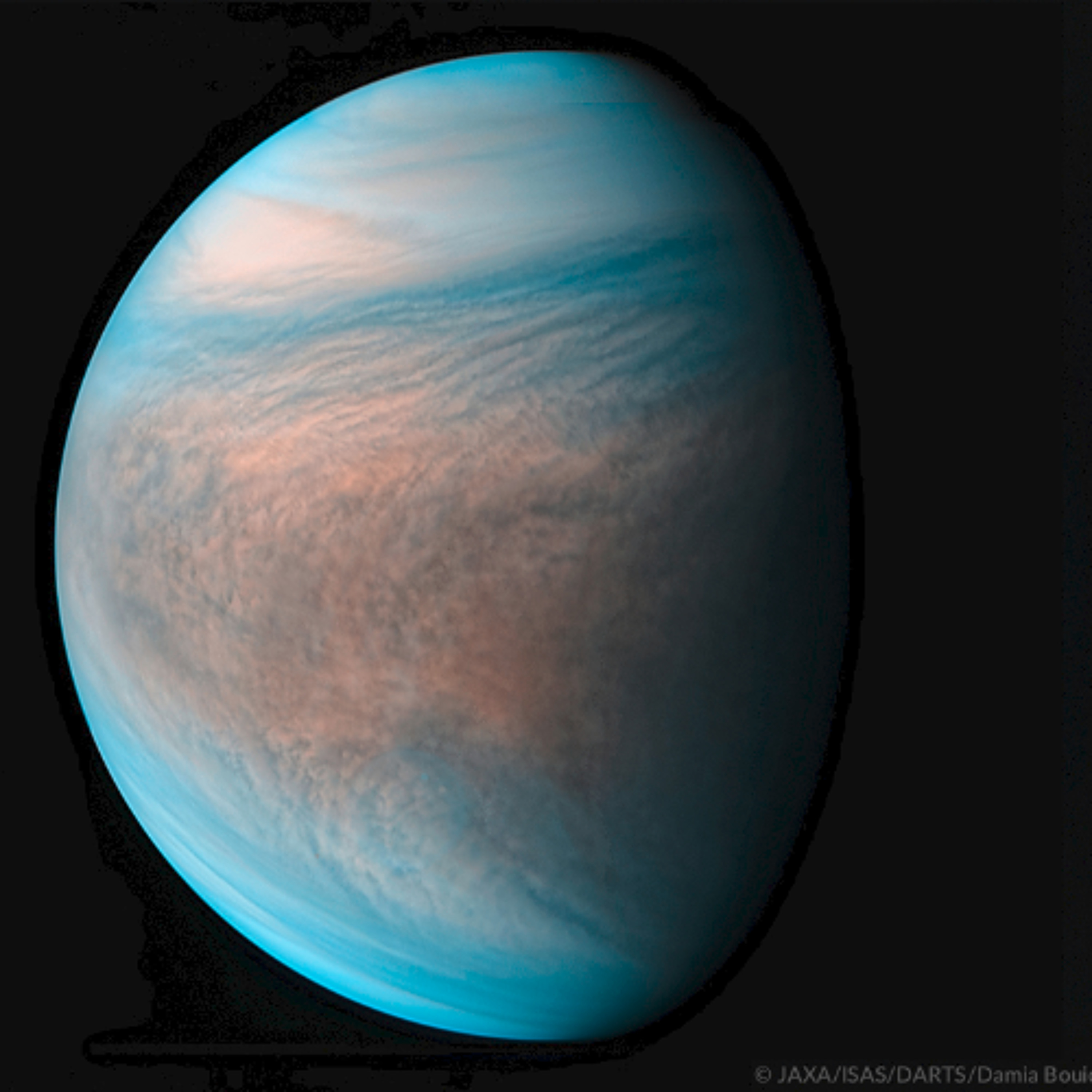 CHRO25037 – Venus