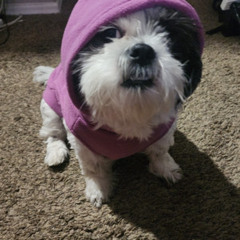 Chill coffee house vibes