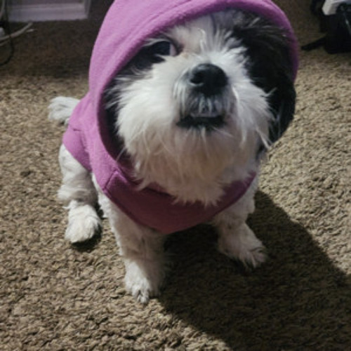 Chill coffee house vibes