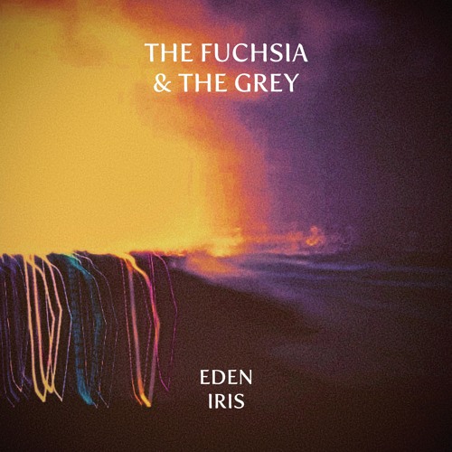 The Fuchsia & The Grey