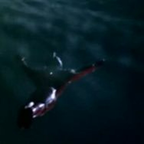 Henshin: Terrible-Monster!