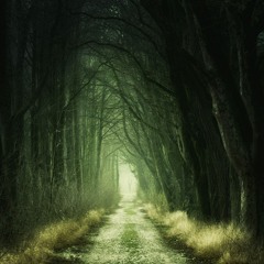 Evergreen Dr part 2