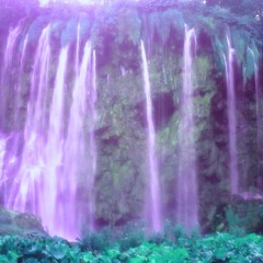 Purple Shoes Suspect 2