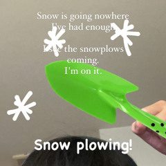 Snowplow