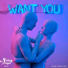 Sam Smyers - Want You (NoizyAngel Remix)