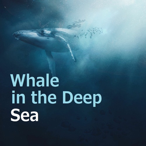 Whale In The Deep Sea