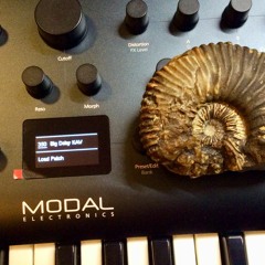 MODAL ARGON8 Sound Pack Horizon
