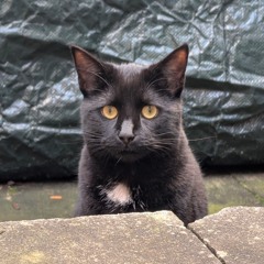 You call that a sensory overload? This is a sensory overload