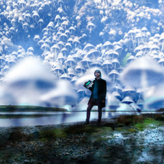 Bog Spirits - Fluid Druid