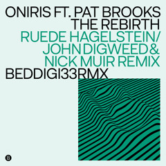 The Rebirth (Ruede Hagelstein Remix) [feat. Pat Brooks]
