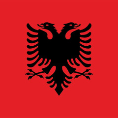 Vision - real albanian slowed