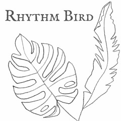 Harmonium Dance Fusion for Rhythm Bird Kirtan