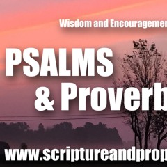 Wisdom From Psalm 77 & Proverbs 6: In the day of my trouble I sought the Lord