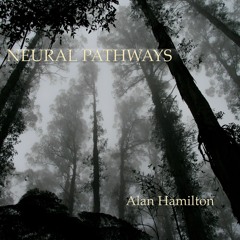 Neural Pathways