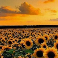 September 2022 open roads