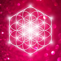 THE SACRED SYMBOLS OF THE STARS