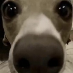 Jimnine