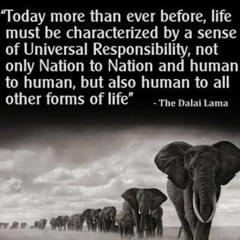 Special&Mini-Mixes d-.-b♫♪♫