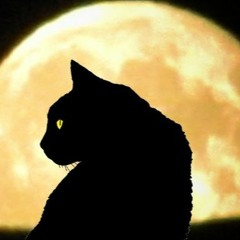 KIFFNESS Alugalug Cat (Remix.BENAMIX.punchy DNBass)