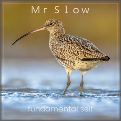 Mr Slow - Fundamental Self