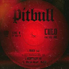 Pitbull - Culo ft. Lil Jon(EDIN Flip)