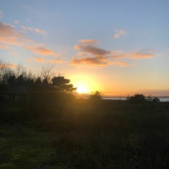 Intet Er Så Skidt, At Det Ikke Er Fucking Nice