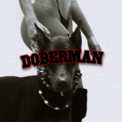 DOBERMAN - BRYAN MUÑOZ ⚡️