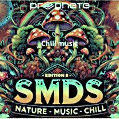 Prophete @ SMDS 2025 - chill set
