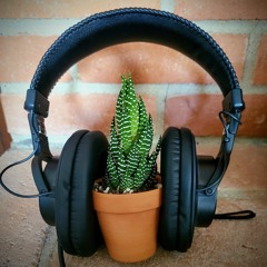 Heaven (Los Lonely Boys)