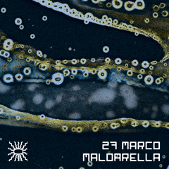 Tentacular 27 ~ Marco Maldarella