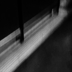 rec 01