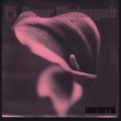 MVNINTY | Fi Nour Mahayek في نور محياك الغني