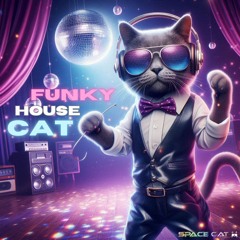 Funky House Cat