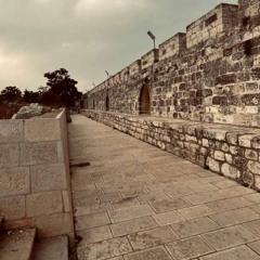 بكيت عليكِ يا قدس _أنشودة فلسطين _بصوت يوسف مغربي .