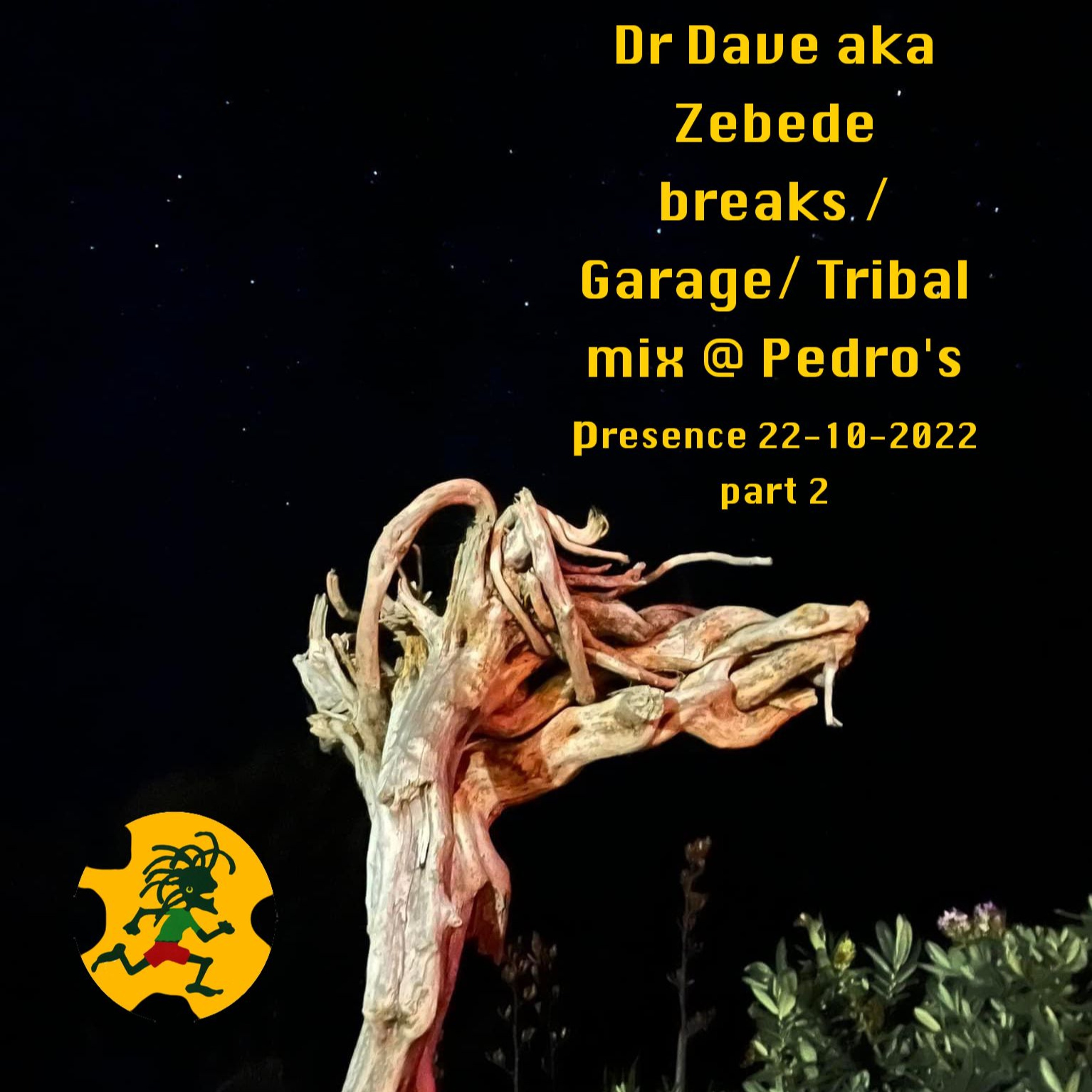 Dr Dave AKA zebede @ Pedros Presence 23-10-22 breaks garage tribal set
