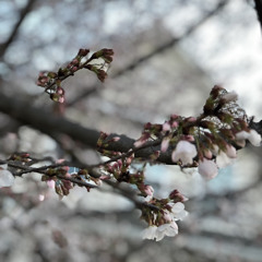 Losin' It - Brakence, Glaive, Ericdoa, Osquinn, Kmoe, Valentine (slowed + reverb) reupload