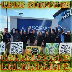 OT Ep 73: Cannabis and Labor Pt 1 PREVIEW