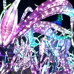 kirakira//flowers (prod. 13en)