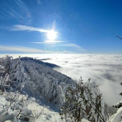 Winter Signs 2022