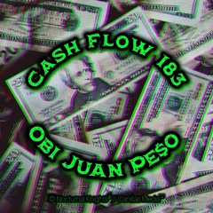 Cash Flow 183