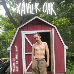 Xavier Oak Volume 2: sun? is that you?