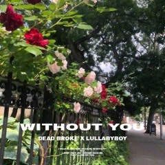Without You (ft. lullabyboy)