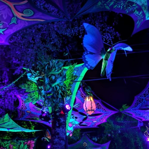 Lunex - Visions of Tomorrow Live | Psychedelic Forest Set | 145bpm