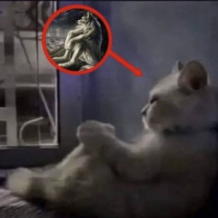 O SOUNDCLOUD ME ESCOLHEU PARA SER SEU DEUS (prod. mvnoslime)