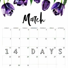 14Days Demo