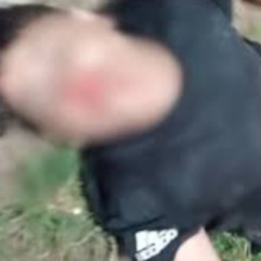 [Full Último vídeo] marlyson belfort acidente portal zacarias marlyson belfort fotos