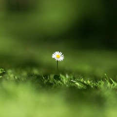 سورة الكهف بصوت القارئ إسلام صبحي❤️