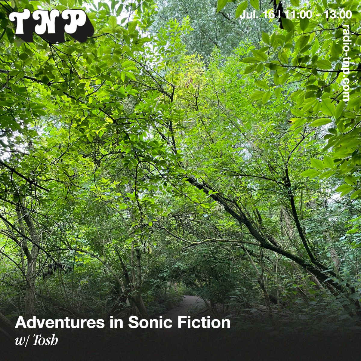 Adventures In Sonic Fiction w/ Tosh