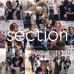 section (19thou)