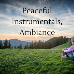 Peaceful Instrumentals, Ambiance